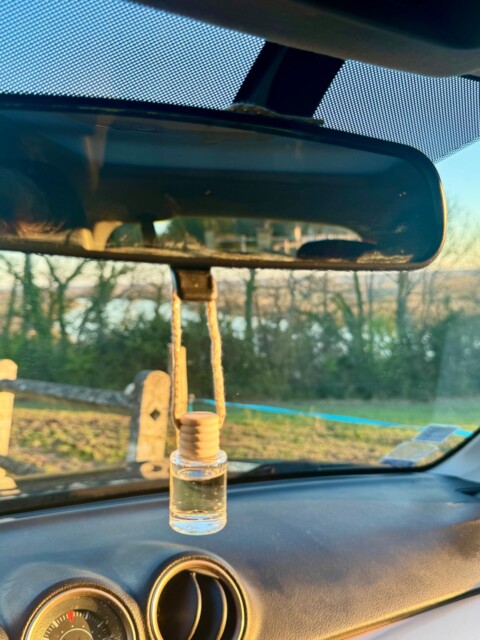 diffuseur parfum naturel